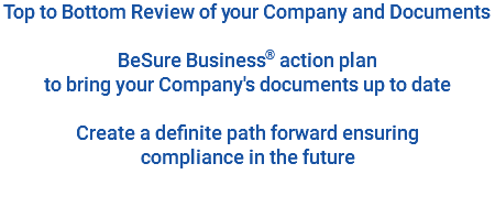 Top to Bottom Review of your Company and Documents BeSure Business® action plan to bring your Company's documents up to date Create a definite path forward ensuring compliance in the future 
